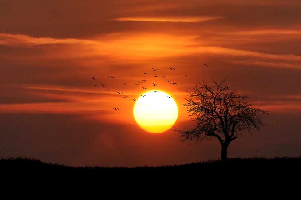 SUNCE - NEBESKO BOŽANSTVO