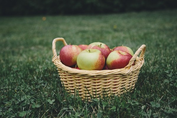 Anthony William o hrani koja mijenja živote: Nikad ne podcjenjujte snagu jabuke