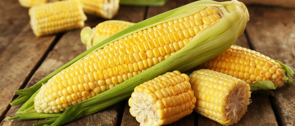 Jeste li znali ovih 9 stvari o kukuruzu?