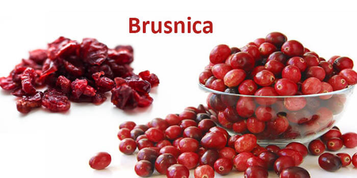 Brusnica