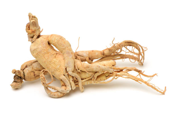 Ginseng