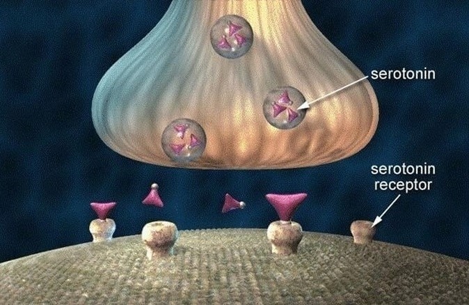 Hormon radosti:Kako povećati serotonin?