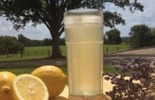 Jeste li čuli za Lavanda – limunadu? Ovo ukusno piće uspavljuje i opušta!