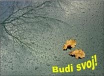BUDI SVOJ