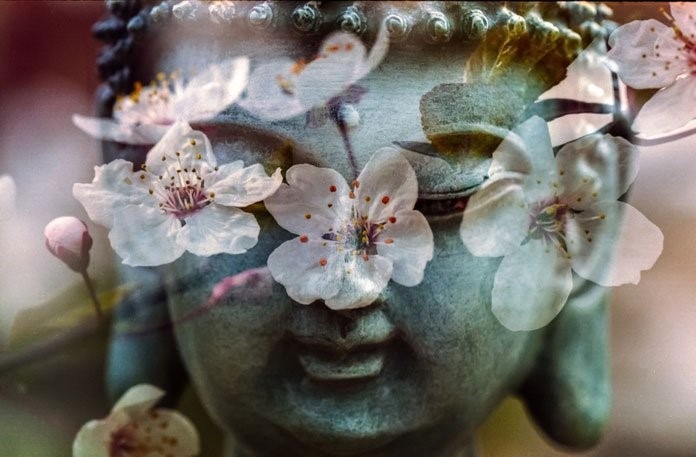 “Živi mirno. Cvjetovi će sami procvjetati.” – 25 Zen mudrosti za mir