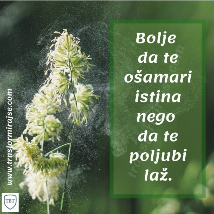 Bolje da te ošamari istina nego poljubi laž!