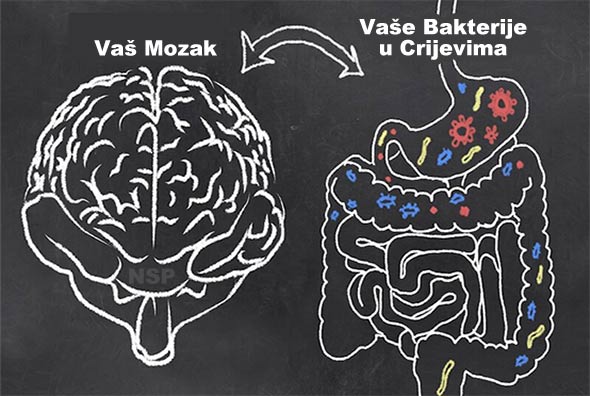  OPREZ! Je li depresija samo simptom lošeg zdravlja crijeva