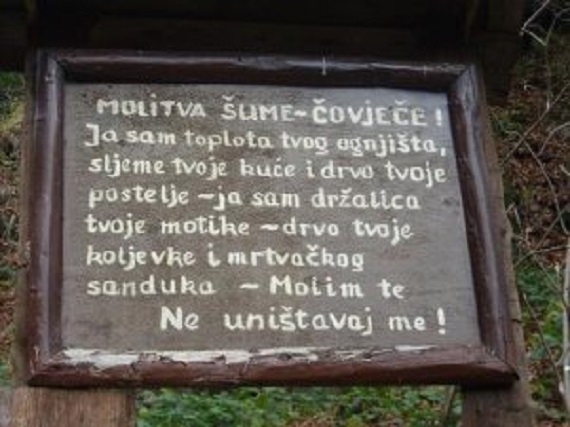 Molitva šume