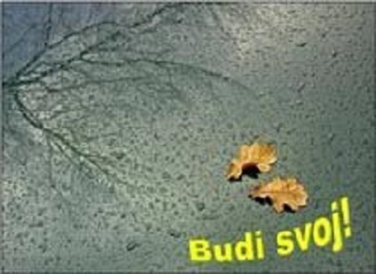 BUDI SVOJ