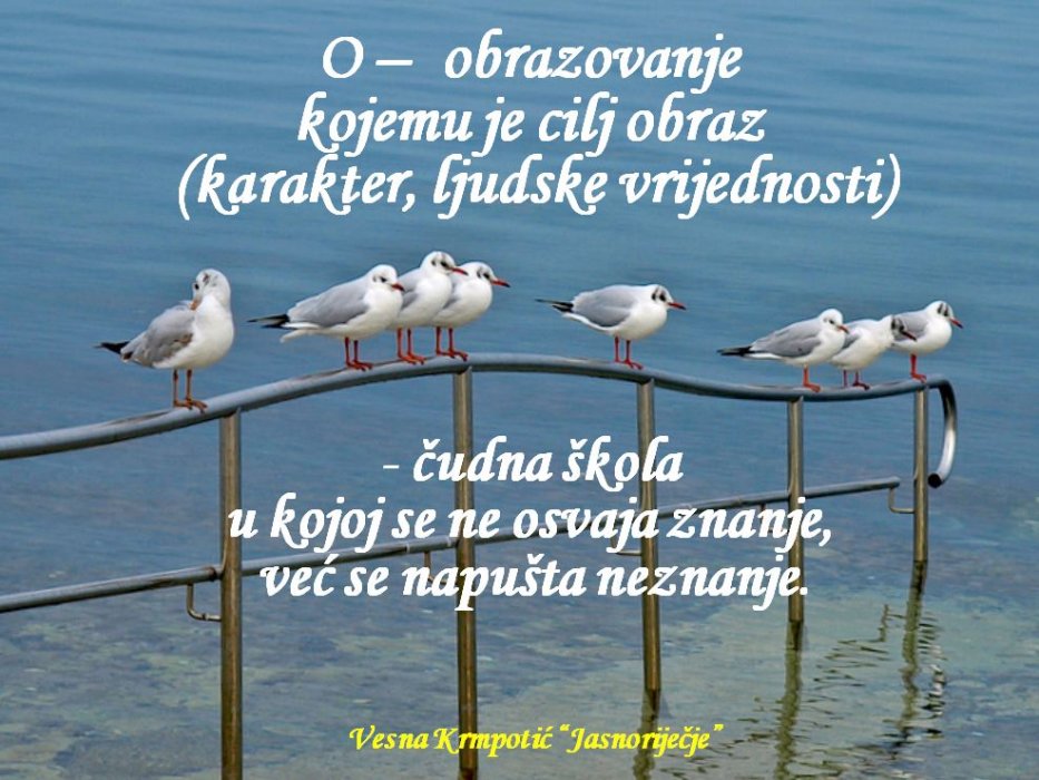 Sai Baba - poruka . 22.studeni 2013