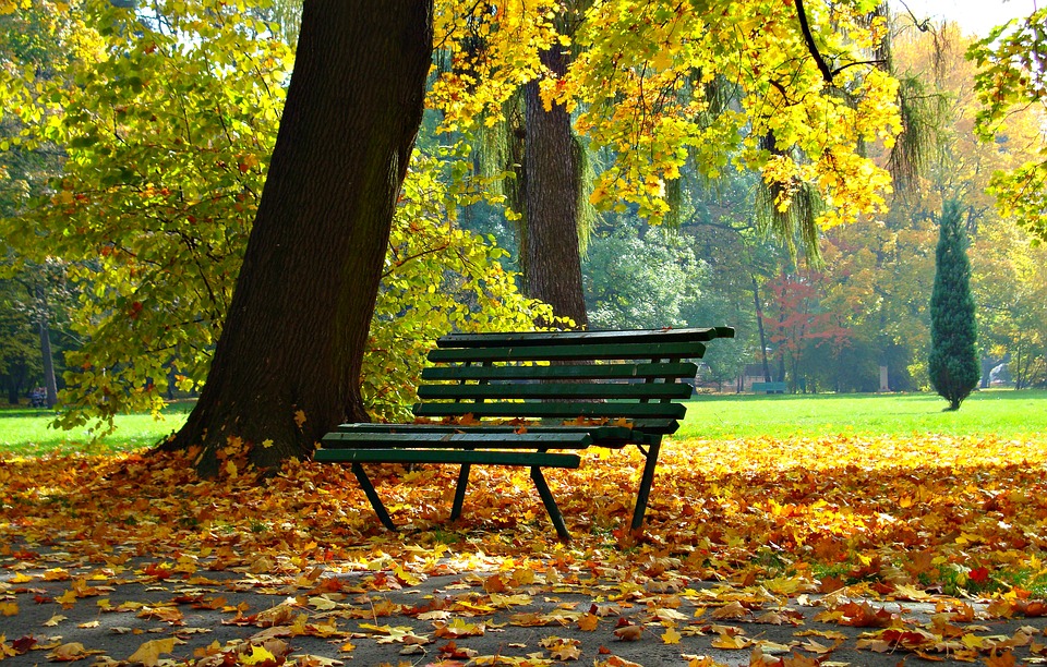 SPOSOBNOST ZA SMRT I SPOSOBNOST ZA ŽIVOT