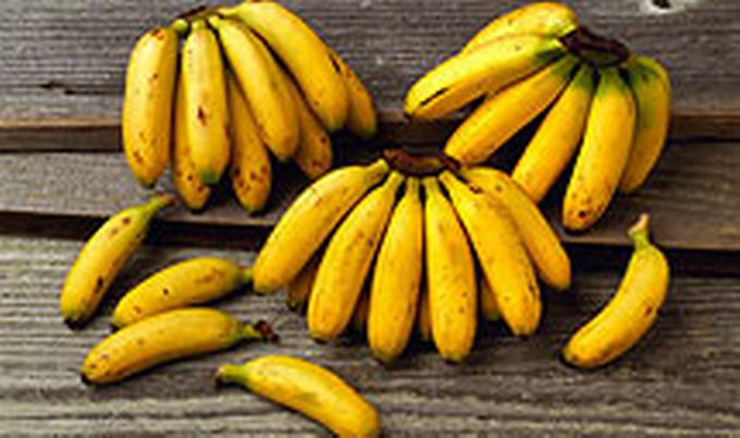 BANANA DIJETA