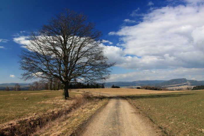 Cesta počinje ovdje  /zen priča/