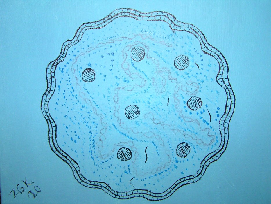 MYCOPLASMA