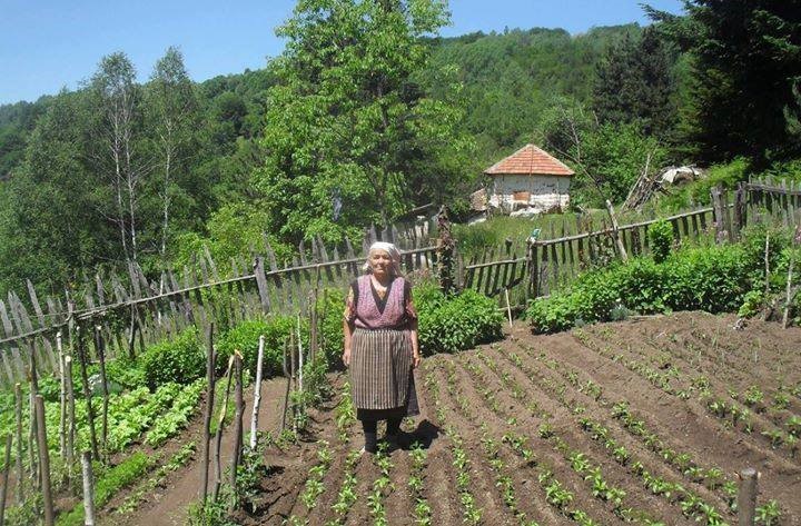 Čišćenje organizma će vam vratiti energiju i poboljšati zdravlje