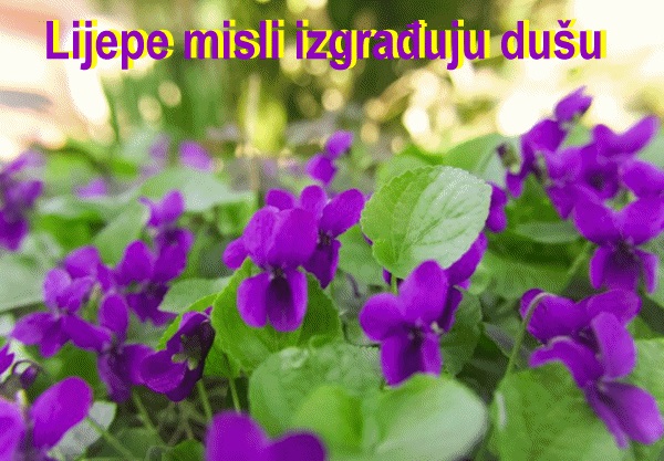 Lijepe misli izgrađuju dušu