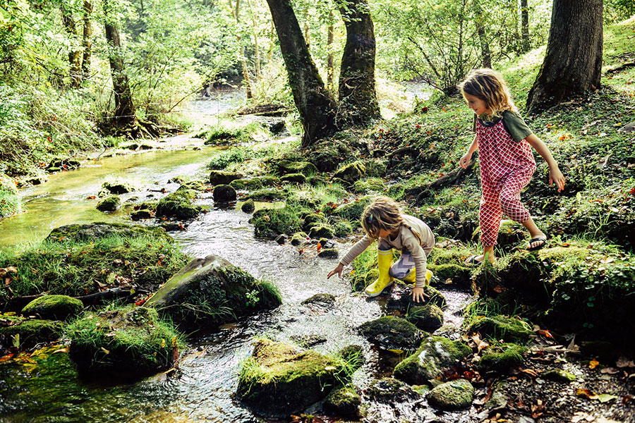 Svibanj – buđenje života