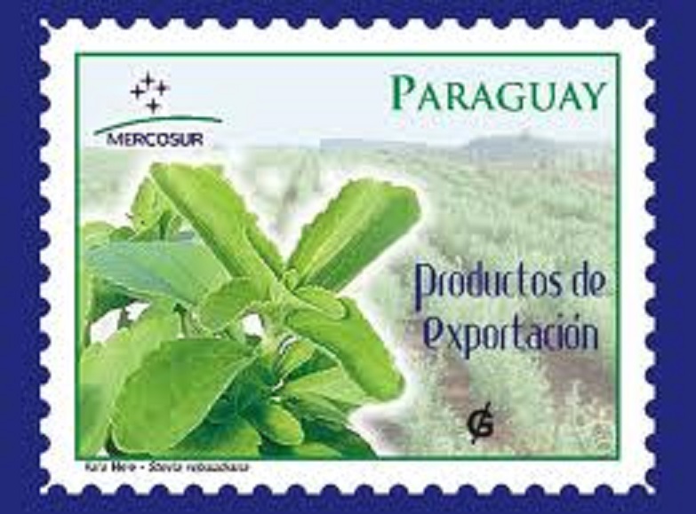 Stevia Rebaudiana - zabranjena biljka?