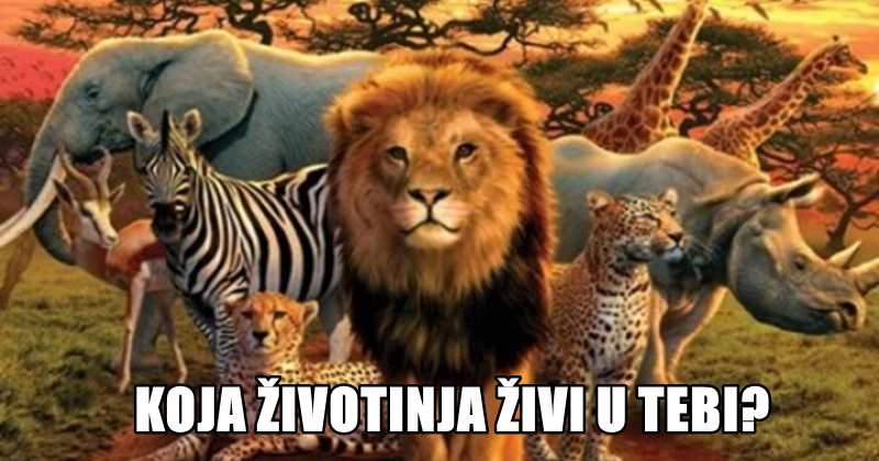 KOJA ŽIVOTINJA ŽIVI U NAMA:)))