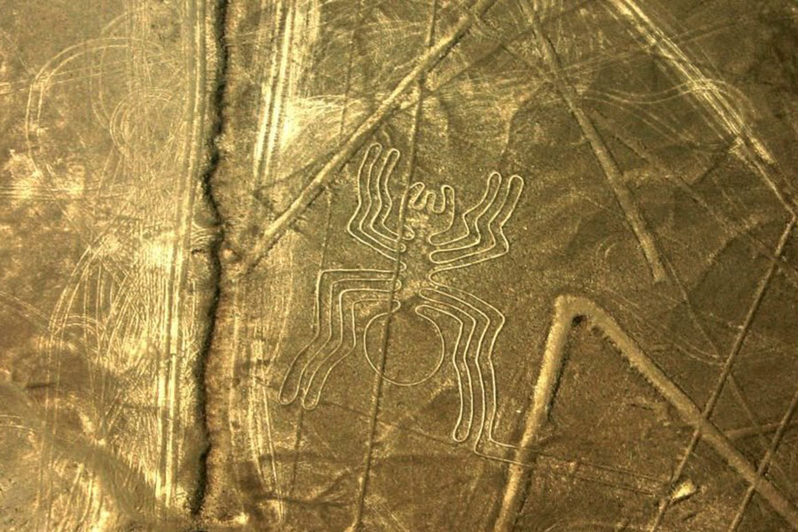 Jezik Nazca linija
