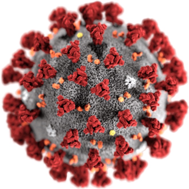 Koronavirus