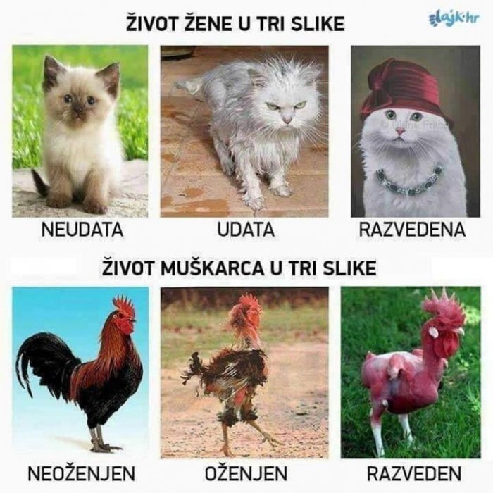 Život ostavlja traga na svima....