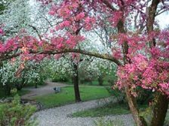 Zagreb u proljeće