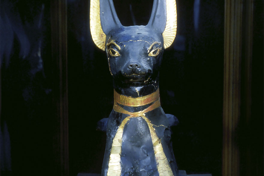 Anubis