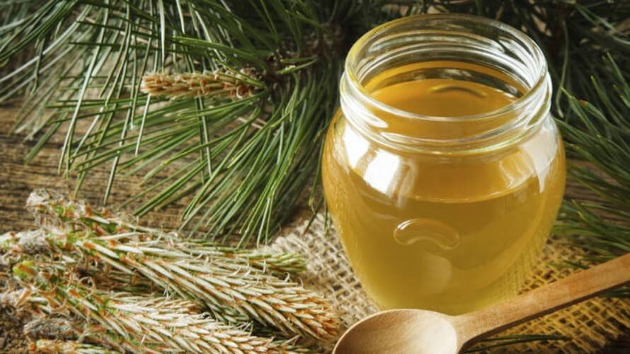 Med ili sirup od borovih iglica – ljekovitost i recept