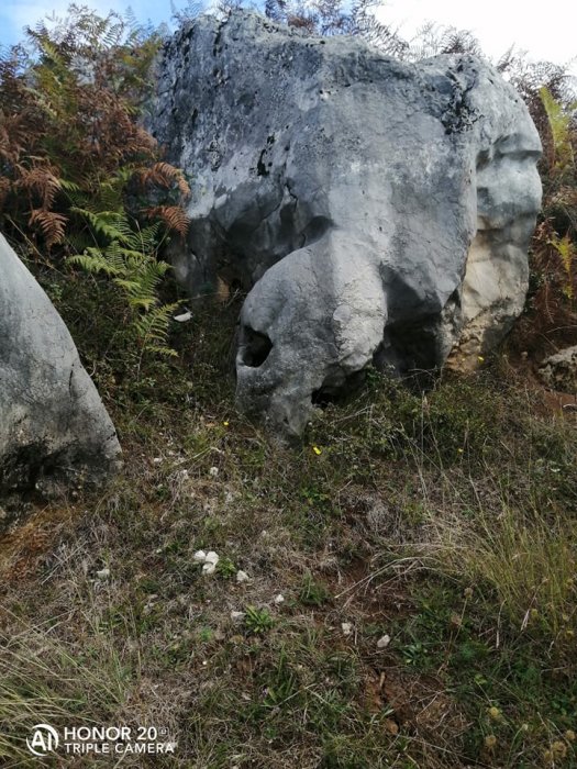 Okamenjena životinja u Gati (Bihać)