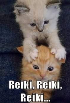 Reiki Usui tretmani ili tecaj!?