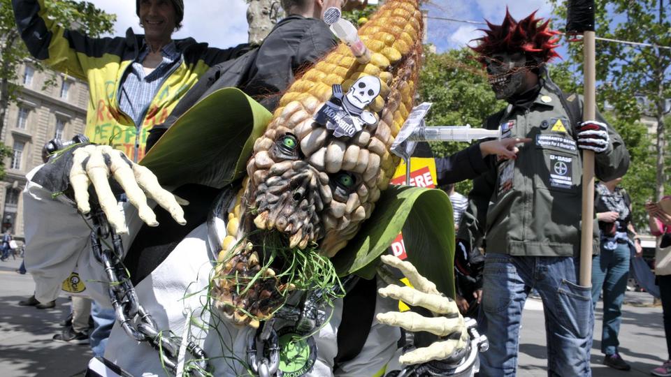 Istine i mitovi o GMO-u