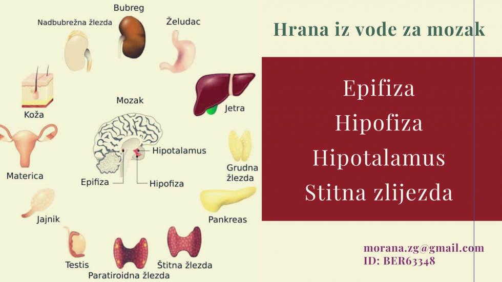 Ortomolekularna medicina, hrana iz vode... Reiki !? u antivirusnoj emisiji :-)