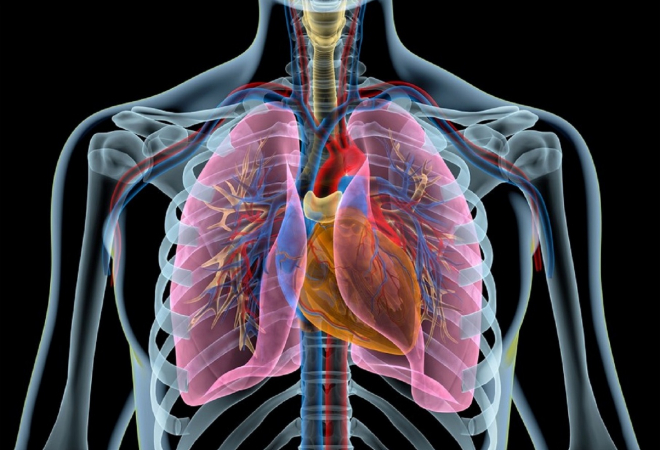 OTKRIĆE KOJE SMO ZABORAVILI: Stručnjaci tvrde da nam pluća ne služe samo za disanje