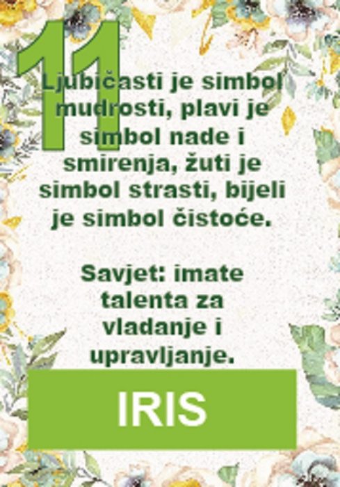 Muški cvijet (spolnost), iris je nacionalni cvijet Republike Hrvatske...
