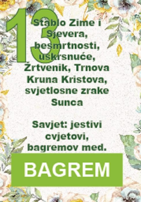 Bagrem je ženski (feministički) cvijet i simbolizira otmjenost...