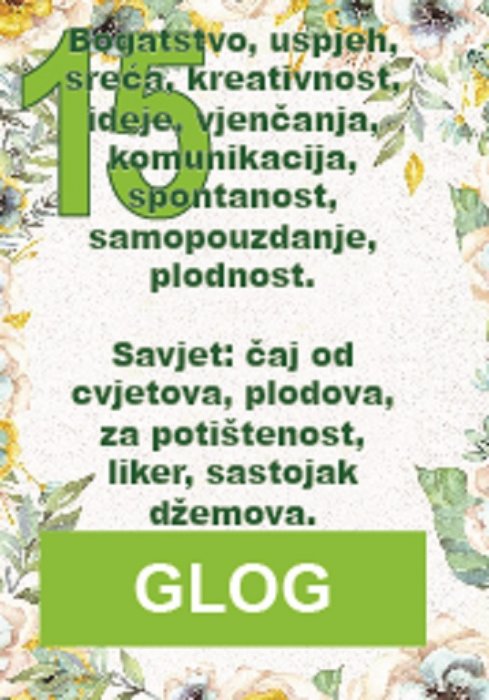 Glog kao ljekovita, magijska i klimatska biljka...