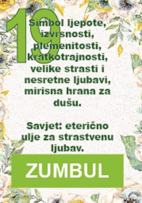 Zumbul je lijep, mirisan i otrovan za kućne ljubimce i ljude...