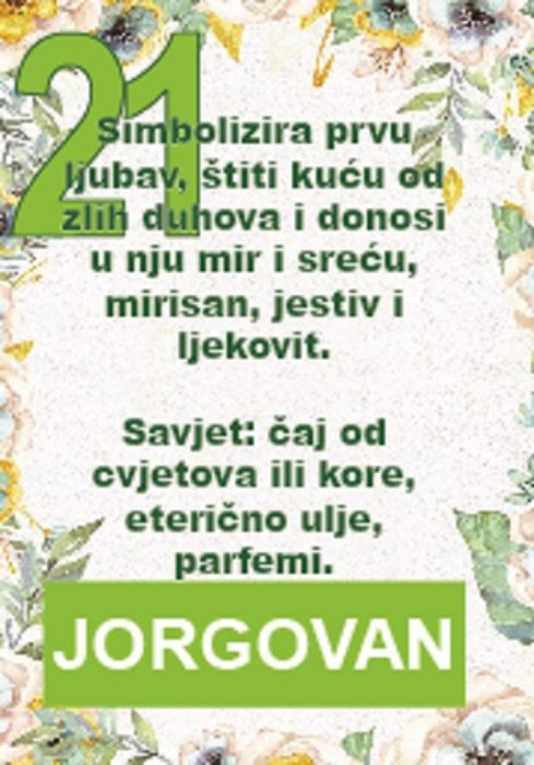 Jorgovan za reumu, išijas, proljev, malariju, parfeme...