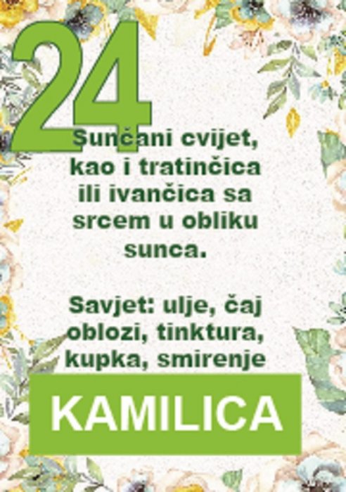Kamilica je vjerojatno najpopularnija ljekovita biljka u narodu...