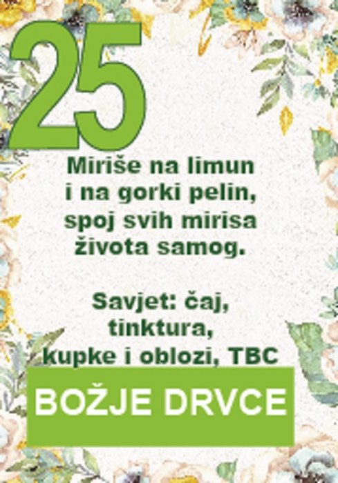 Božje drvce je Božji dar ljudima...