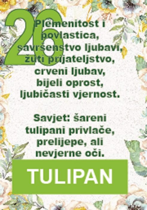 Zbog tulipana je Nizozemska postala 