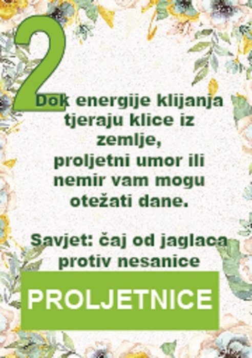 Prve proljetnice, prve pomoćnice iz prirode, za lijek i hranu...