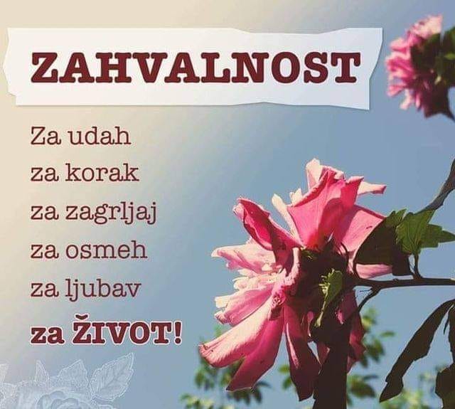 I želim ti dobro jutro i iskoristi ga na pravi način... 🙂🤗🌼🐞