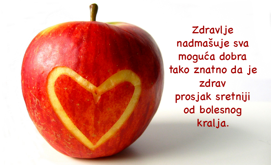 Vratila sam se među žive