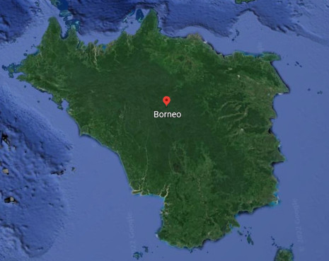 Borneo, Kalimantan ili...žena