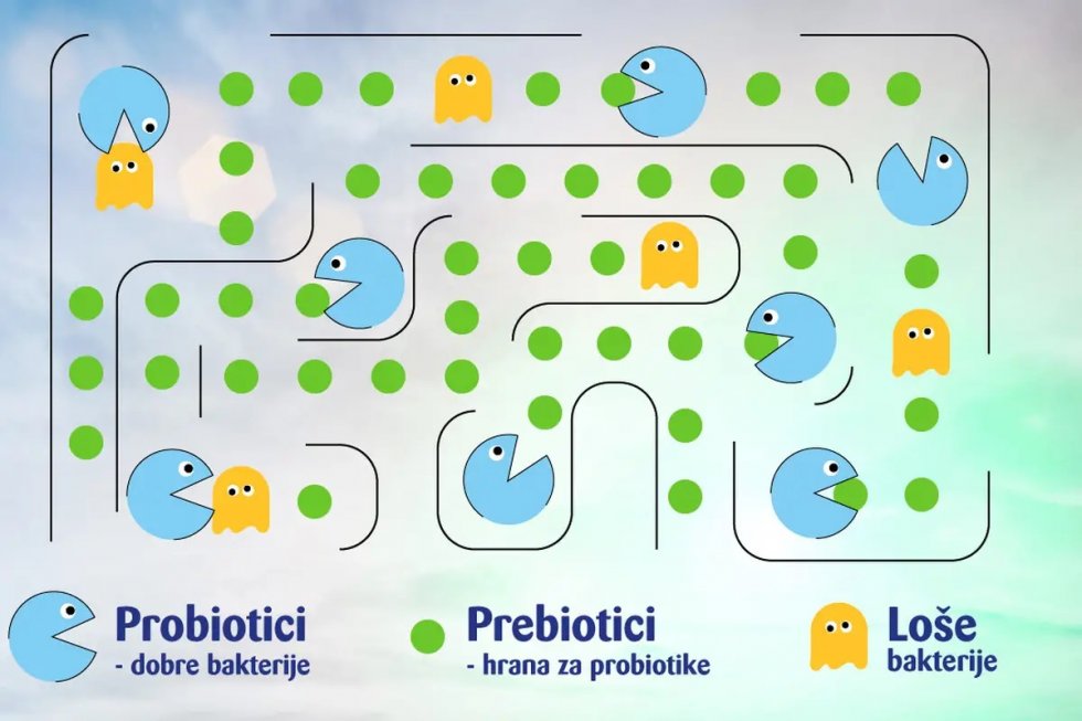 Temelji i praksa probiotičke terapije - Budućnost leži u probioticima!