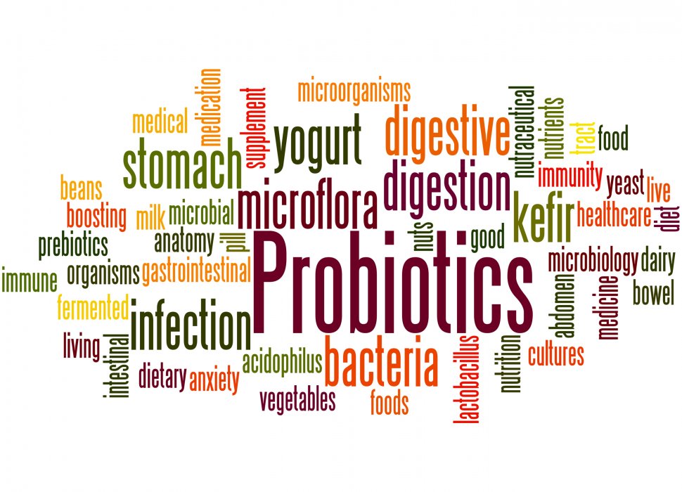 Temelji i praksa probiotičke terapije