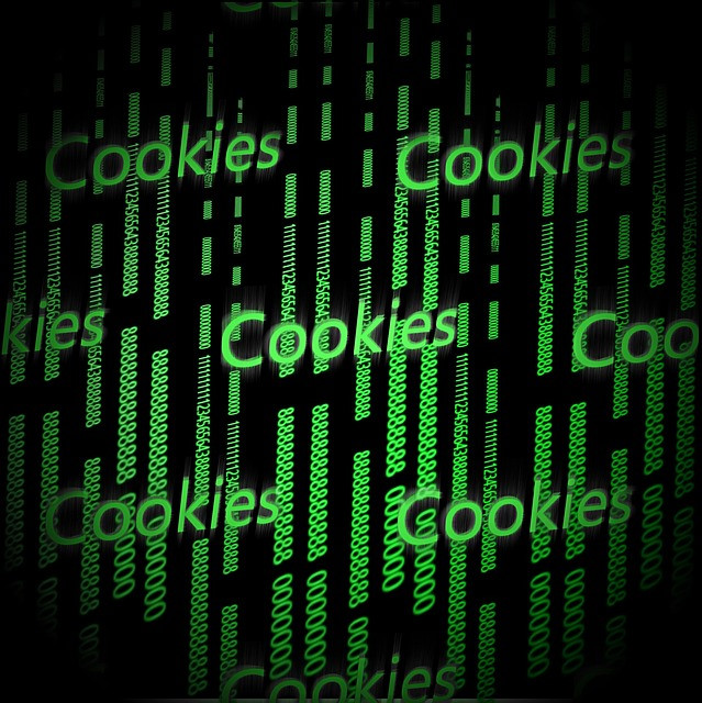 Internetski cookiesi