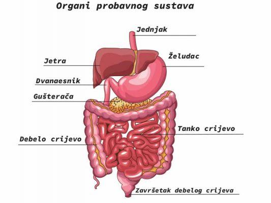 PRAKTIČNA UPUTSTVA ZA ČIŠĆENJE I LEČENJE  JETRE